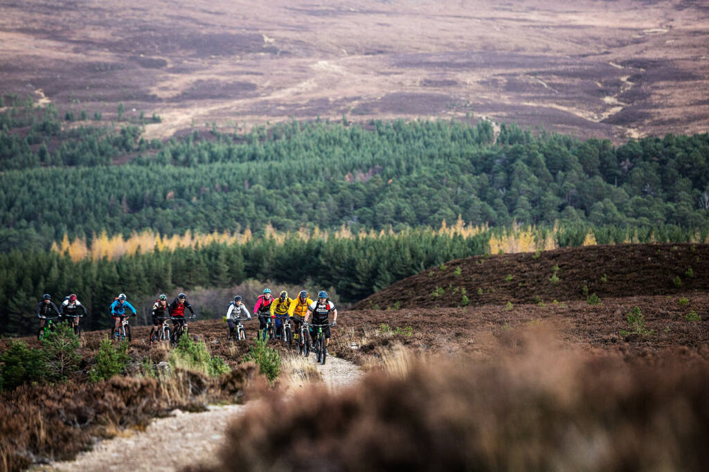 Tour operators mtb tourism
