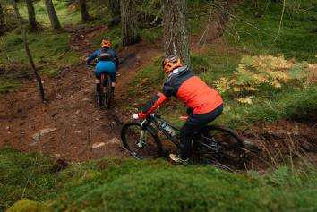 DM Bin S Perthshire Dunkeld2