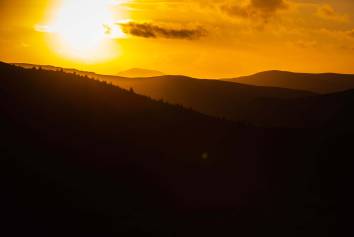 Tweed Valley
